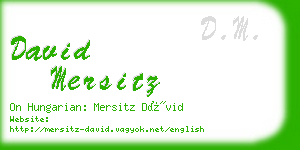 david mersitz business card